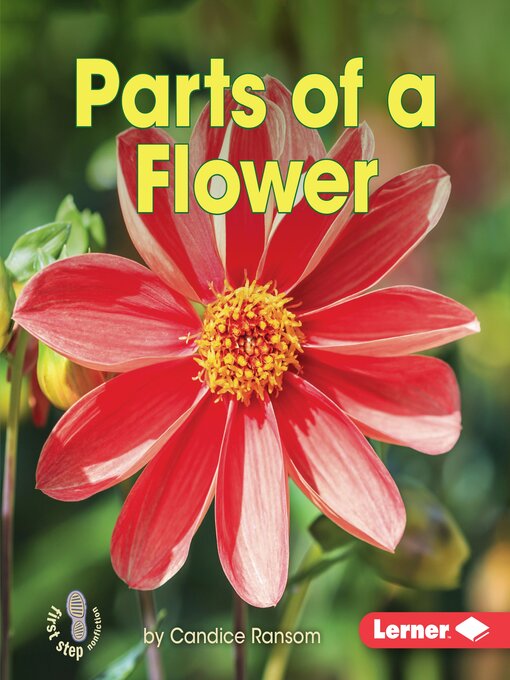 Cover image for Parts of a Flower